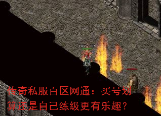 传奇私服百区网通:买号划算还是自己练级更有乐趣? 传奇私服百区网通:买号划算还是自己练级更有乐趣?
