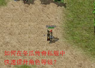 如何在冬瓜传奇私服中快速提升角色等级? 如何在冬瓜传奇私服中快速提升角色等级?