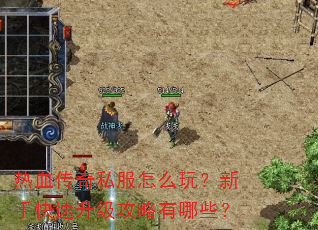 热血传奇私服怎么玩?新手快速升级攻略有哪些? 热血传奇私服怎么玩?新手快速升级攻略有哪些?