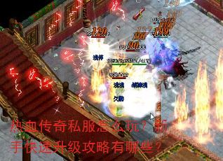 热血传奇私服怎么玩?新手快速升级攻略有哪些? 热血传奇私服怎么玩?新手快速升级攻略有哪些?