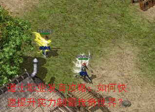 道士职业发育攻略:如何快速提升实力制霸传奇世界? 道士职业发育攻略:如何快速提升实力制霸传奇世界?