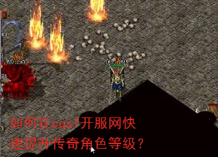 如何在cqsf开服网快速提升传奇角色等级? 如何在cqsf开服网快速提升传奇角色等级?