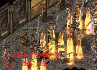 变态猫复古传奇迷失礼包码如何获取? 变态猫复古传奇迷失礼包码如何获取?
