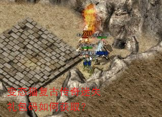 ��̬è���Ŵ�����ʧ�������λ�ȡ��