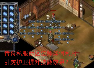 传奇私服新区法师如何利用引虎护卫提升技能效果? 传奇私服新区法师如何利用引虎护卫提升技能效果?