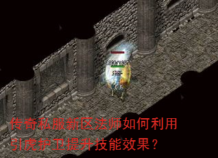 传奇私服新区法师如何利用引虎护卫提升技能效果? 传奇私服新区法师如何利用引虎护卫提升技能效果?