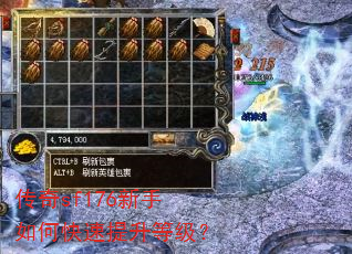 传奇sf176新手如何快速提升等级? 传奇sf176新手如何快速提升等级?
