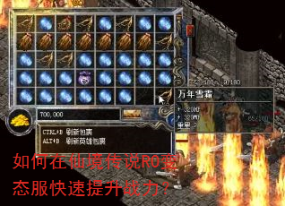 如何在仙境传说RO变态服快速提升战力? 如何在仙境传说RO变态服快速提升战力?