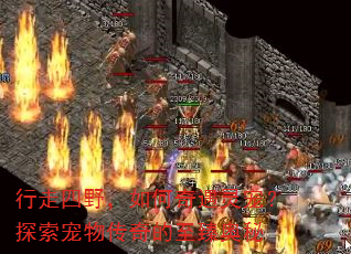 行走四野,如何奇遇灵宠?探索宠物传奇的至臻奥秘 行走四野,如何奇遇灵宠?探索宠物传奇的至臻奥秘