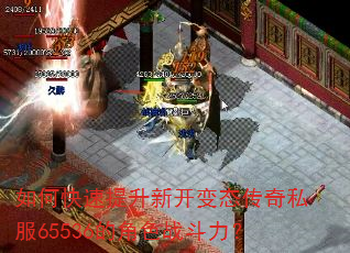 如何快速提升新开变态传奇私服65536的角色战斗力? 如何快速提升新开变态传奇私服65536的角色战斗力?