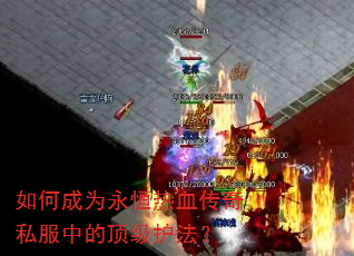 如何成为永恒热血传奇私服中的顶级护法? 如何成为永恒热血传奇私服中的顶级护法?
