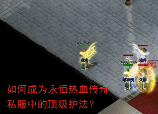 如何成为永恒热血传奇私服中的顶级护法? 如何成为永恒热血传奇私服中的顶级护法?