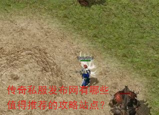 传奇私服发布网有哪些值得推荐的攻略站点? 传奇私服发布网有哪些值得推荐的攻略站点?