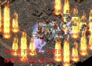 �����������ţ����ѡ�����ʺ����ְҵ��