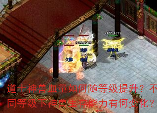 道士神兽血量如何随等级提升?不同等级下神兽生存能力有何变化? 道士神兽血量如何随等级提升?不同等级下神兽生存能力有何变化?