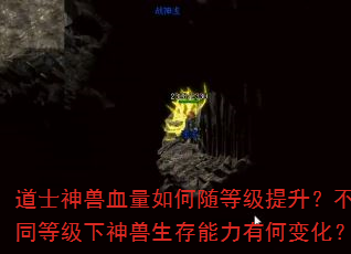 道士神兽血量如何随等级提升?不同等级下神兽生存能力有何变化? 道士神兽血量如何随等级提升?不同等级下神兽生存能力有何变化?
