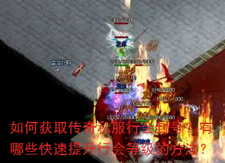 如何获取传奇私服行会封号?有哪些快速提升行会等级的方法? 如何获取传奇私服行会封号?有哪些快速提升行会等级的方法?