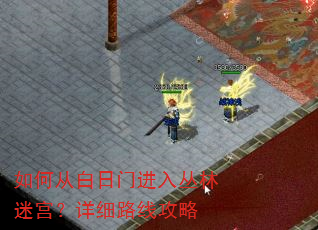 如何从白日门进入丛林迷宫?详细路线攻略 如何从白日门进入丛林迷宫?详细路线攻略