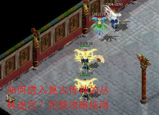 如何进入复古传神的丛林迷宫?完整攻略指南 如何进入复古传神的丛林迷宫?完整攻略指南
