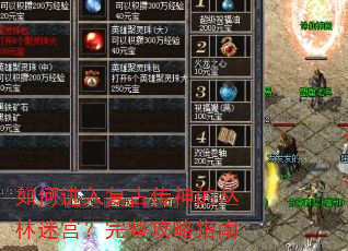 如何进入复古传神的丛林迷宫?完整攻略指南 如何进入复古传神的丛林迷宫?完整攻略指南