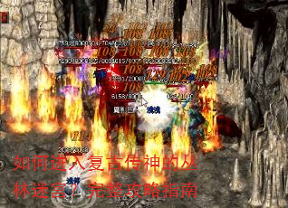 如何进入复古传神的丛林迷宫?完整攻略指南 如何进入复古传神的丛林迷宫?完整攻略指南