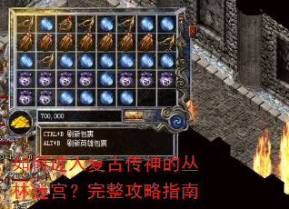 如何进入复古传神的丛林迷宫?完整攻略指南 如何进入复古传神的丛林迷宫?完整攻略指南