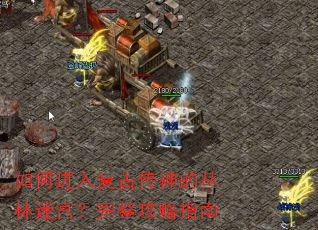 如何进入复古传神的丛林迷宫?完整攻略指南 如何进入复古传神的丛林迷宫?完整攻略指南