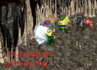 如何在嘟嘟传奇中成功诱惑红野猪? 如何在嘟嘟传奇中成功诱惑红野猪?