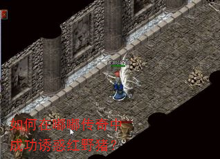 如何在嘟嘟传奇中成功诱惑红野猪? 如何在嘟嘟传奇中成功诱惑红野猪?