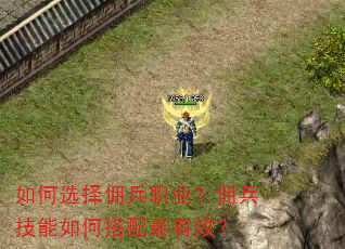 如何选择佣兵职业?佣兵技能如何搭配最有效? 如何选择佣兵职业?佣兵技能如何搭配最有效?