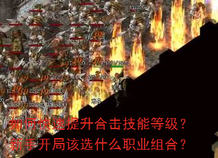 如何快速提升合击技能等级?新手开局该选什么职业组合? 如何快速提升合击技能等级?新手开局该选什么职业组合?