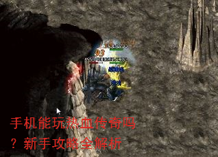 �ֻ�������Ѫ���������ֹ���ȫ����