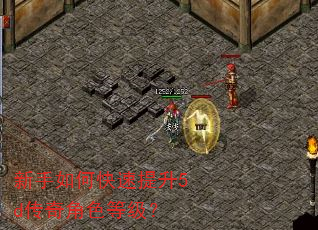 新手如何快速提升5d传奇角色等级? 新手如何快速提升5d传奇角色等级?
