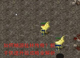 如何畅游桂林传奇?新手快速升级攻略全解析 如何畅游桂林传奇?新手快速升级攻略全解析