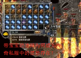 带宝宝的法师为何成为传奇私服中的禁忌存在? 带宝宝的法师为何成为传奇私服中的禁忌存在?