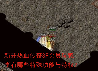 新开热血传奇SF会员玩家享有哪些特殊功能与特权? 新开热血传奇SF会员玩家享有哪些特殊功能与特权?