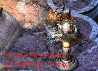 哪个SF传奇版本最耐玩?新手如何快速上手攻略? 哪个SF传奇版本最耐玩?新手如何快速上手攻略?