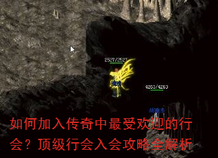 ��μ��봫�������ܻ�ӭ���л᣿�����л���ṥ��ȫ����