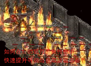 如何在1.85狐月玉兔传奇中快速提升等级与获取顶级装备? 如何在1.85狐月玉兔传奇中快速提升等级与获取顶级装备?