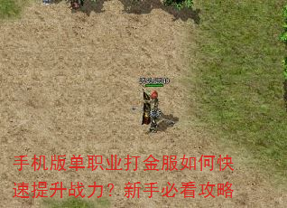 手机版单职业打金服如何快速提升战力?新手必看攻略 手机版单职业打金服如何快速提升战力?新手必看攻略