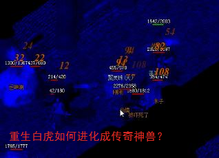 重生白虎如何进化成传奇神兽? 重生白虎如何进化成传奇神兽?