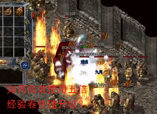 如何高效使用五倍经验卷快速升级? 如何高效使用五倍经验卷快速升级?