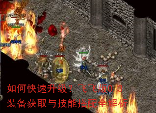 如何快速升级?飞飞版0.3装备获取与技能搭配全解析 如何快速升级?飞飞版0.3装备获取与技能搭配全解析