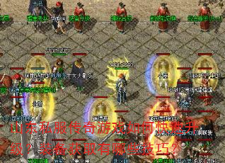 山东私服传奇游戏如何快速升级?装备获取有哪些技巧? 山东私服传奇游戏如何快速升级?装备获取有哪些技巧?