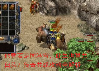 他朝若是同淋雪,此生也算共白头?传奇共战攻略全解析 他朝若是同淋雪,此生也算共白头?传奇共战攻略全解析