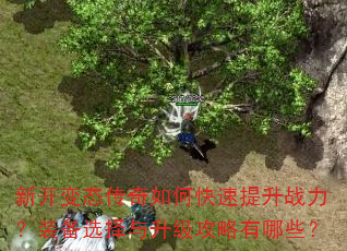 新开变态传奇如何快速提升战力?装备选择与升级攻略有哪些? 新开变态传奇如何快速提升战力?装备选择与升级攻略有哪些?
