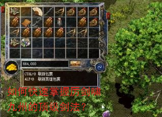 如何快速掌握厉剑啸九州的顶级剑法? 如何快速掌握厉剑啸九州的顶级剑法?