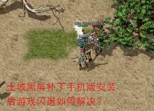 土城黑屏补丁手机版安装后游戏闪退如何解决? 土城黑屏补丁手机版安装后游戏闪退如何解决?