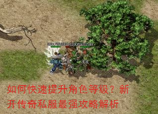 如何快速提升角色等级?新开传奇私服最强攻略解析 如何快速提升角色等级?新开传奇私服最强攻略解析
