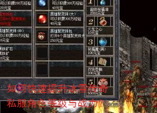 如何快速提升冰雪传奇私服角色等级与战力? 如何快速提升冰雪传奇私服角色等级与战力?